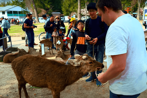 Depuis Osaka/Kyoto : Visite touristique de Kyoto et Nara en journée privée