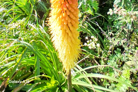 9-Day Tour of Danakil Depression, Tigray Churches & Simien