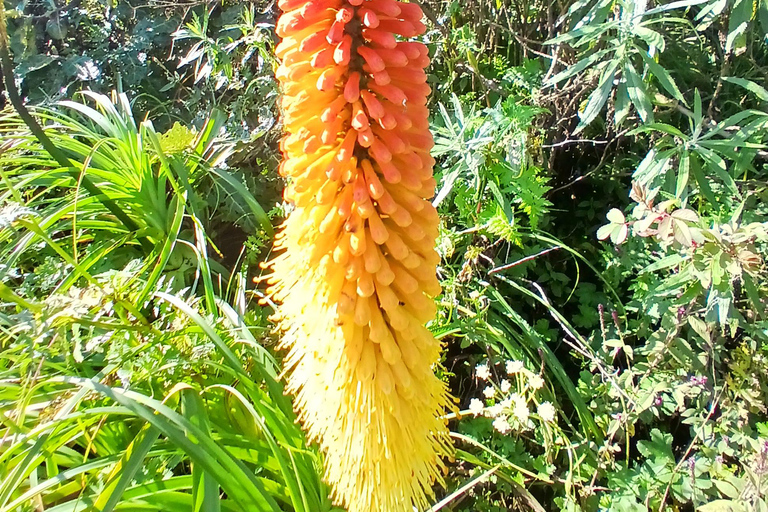 9-Day Tour of Danakil Depression, Tigray Churches & Simien