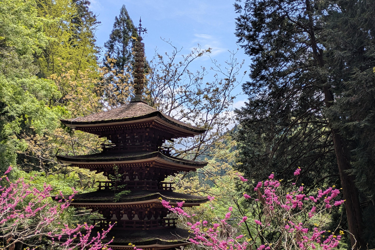 From Osaka: Muroji Temple, Dragon Shrine & Art Forest Tour