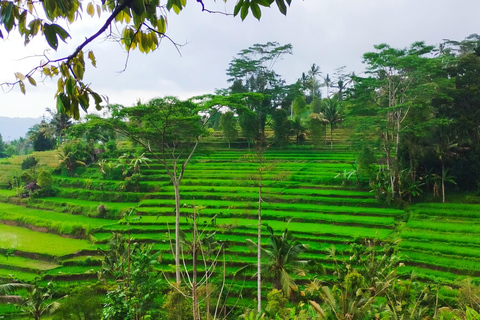 Sidemen Trekking : Une marche dans une perspective différente