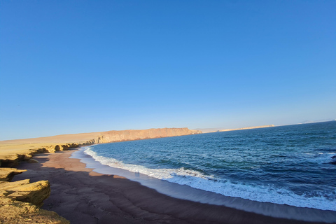 Ica: Tour Islas Ballestas y Paracas - servicio compartido