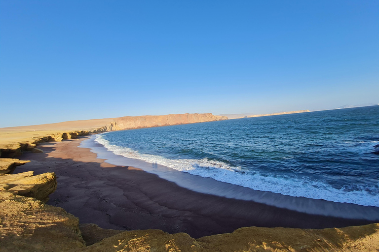 Ica : Visite des îles Ballestas et Paracas - service partagé