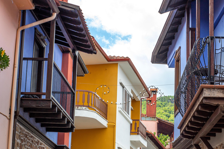 Saloniki: Halkidiki, Arnaia, Ierissos - pływanie i degustacja