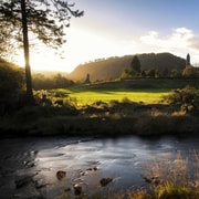 Wicklow: Private Day Tour from Dublin