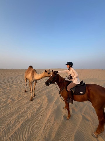 Dubai: 1hr Horse Riding Experience at M11 Equestrian Club