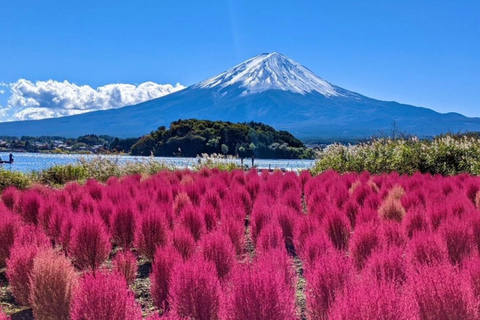 Tokyo: Mt. Fuji Private Scenic Tour with Custom Stops