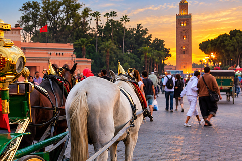 Marrakech: Medina, Palaces, Souks & Evening Carriage Ride Medina Discovery, Evening Carriage & Moroccan Dinner
