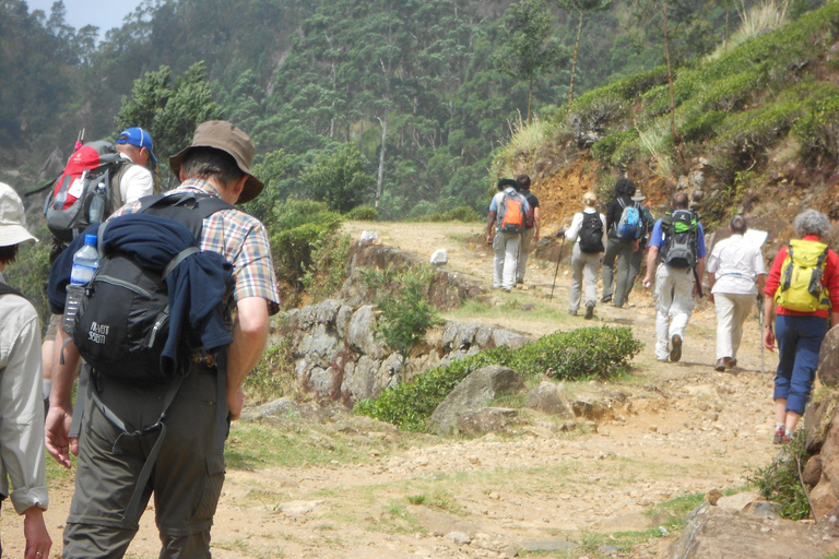 Trekking z Kandy do Ella