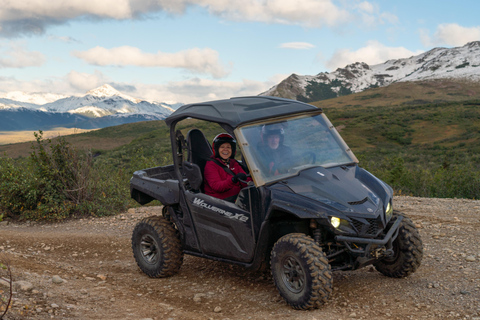 Denali ATV Wilderness Adventure - Guided ATV Tour Enclosed Side by Side ATV - 2 passengers