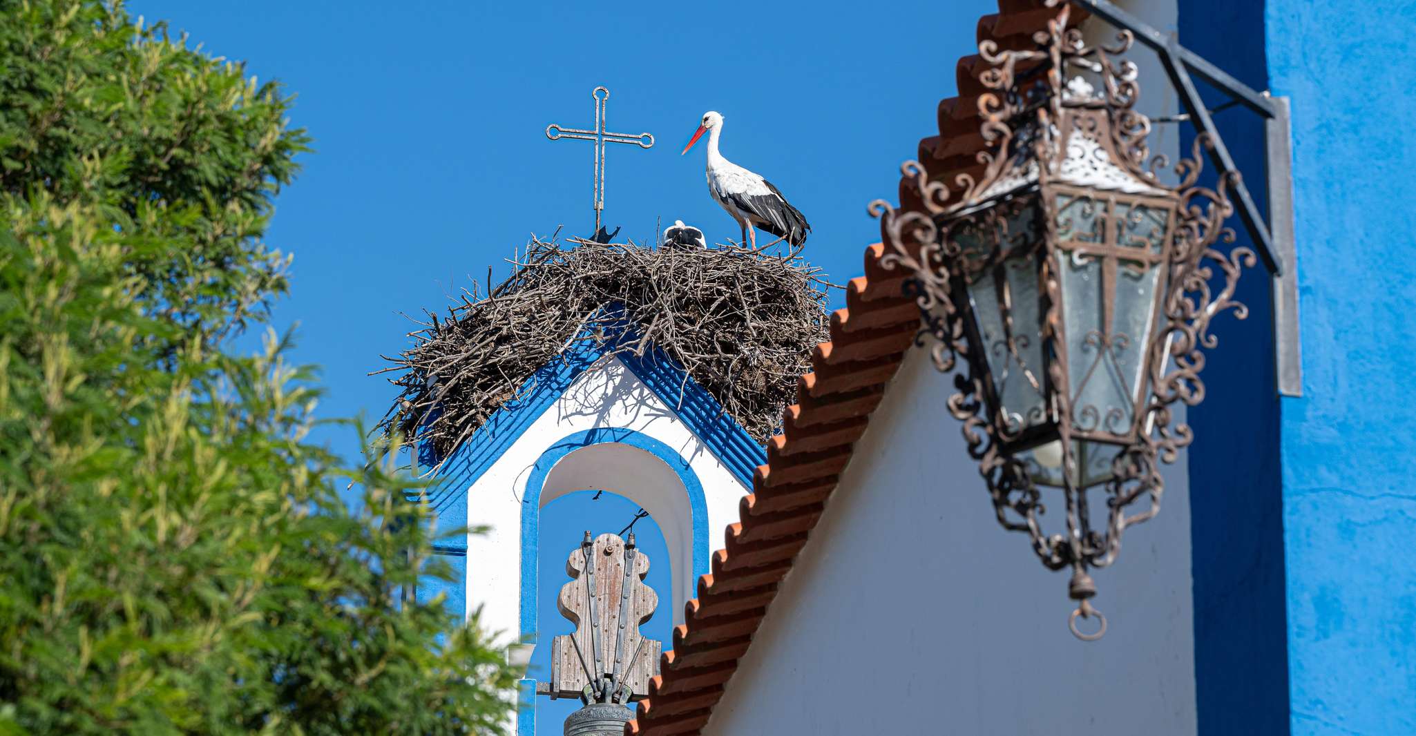 Herdade Da Bear Winetasting - Housity