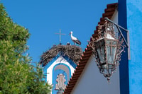 Herdade Da Premium Winasting - Housity