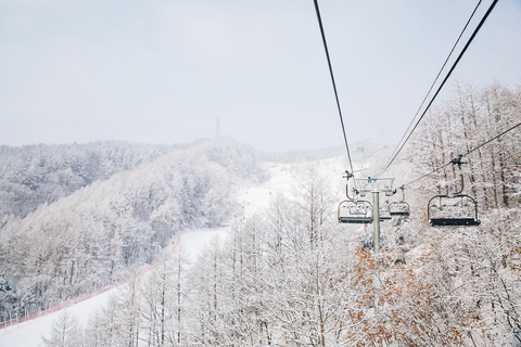 Elysian Ski Resort_ Snow Hill (Snow sled) Day Tour Depart from Hongdae Station Exit 8