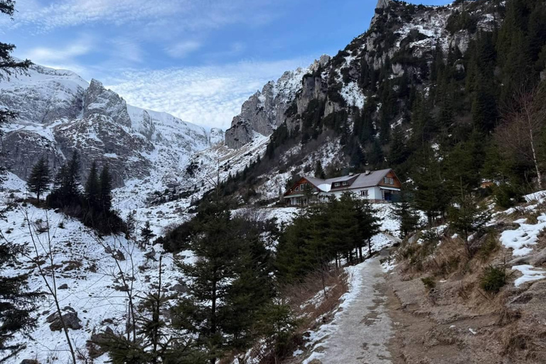 Brasov: Malaiesti Mountain Hut Guided Hike