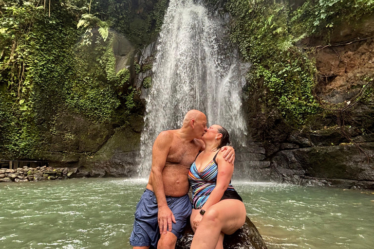 Ubud: Private Half-Day Tour Rice Terrace, Temple & Waterfall Private Ubud Half-Day Tour (Without Entrance Ticket)