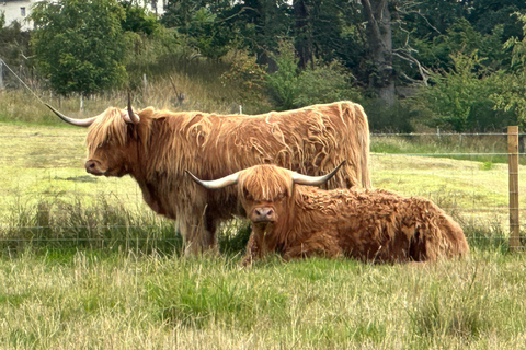 Guided Isle of Skye Sights and West Coast Day Tour