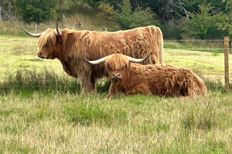 Visite guidée d&#039;une journée sur l&#039;île de Skye et la côte ouest