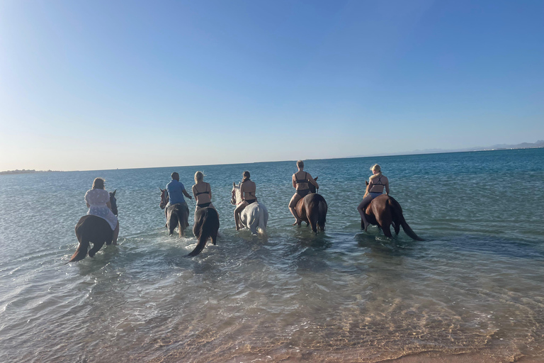 Soma Bay: Reittour mit HoteltransferSoma Bay: Reittour ohne Hoteltransfer