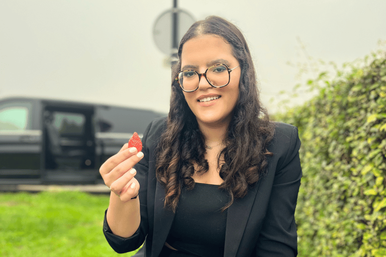 Bordeaux : Unforgettable Saint Emilion Half Day Wine Tour