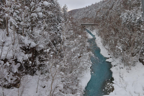 Hokkaido Tour：Asahiyama Zoo &Biei Waterfalls &Ningle Terrace Sapporo TV Tower 1F Information Center Departure