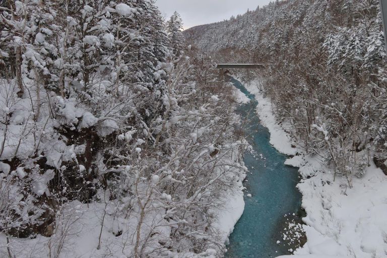 Hokkaido Tour：Asahiyama Zoo &Biei Waterfalls &Ningle Terrace Sapporo TV Tower 1F Information Center Departure