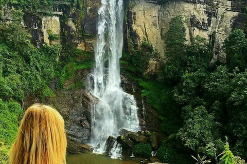 Trip from Kandy to Ambewela Railway Station via Nuwara Eliya Kandy to Nuwara Eliya and Ambewela Drop tour by car or van