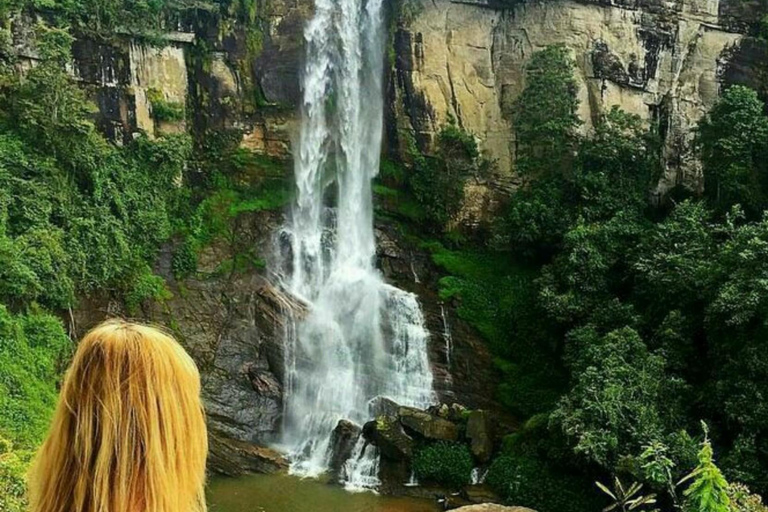 Trip from Kandy to Ambewela Railway Station via Nuwara Eliya Kandy to Nuwara Eliya and Ambewela Drop tour by car or van