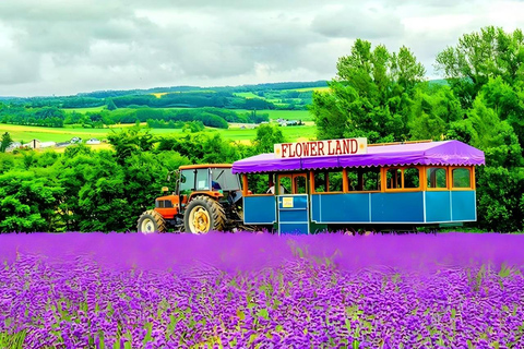 جولة نهارية في سابورو: Biei Blue Pond ومزرعة Lavender مع الغداء7:30 نقطة الاستلام + تذكرة زهرة البحر (مع بوفيه + ا