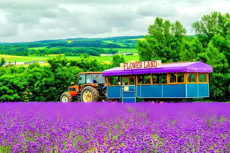 Sapporo Day Tour: Biei Blue Pond & Lavender Farm with Lunch 7:30 Pickup Point + Flower Sea Ticket (with Buffet + Melon)