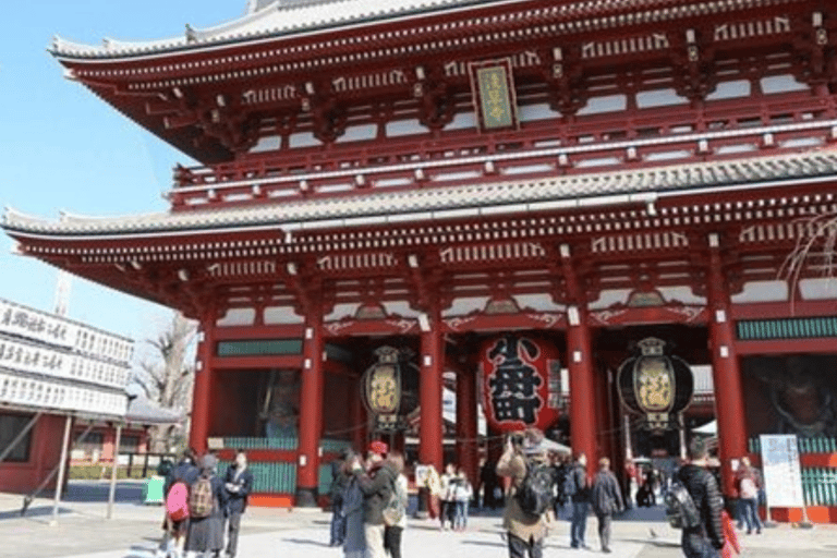 Tokyo: Private Tokyo City Must Seen Places By English Guide