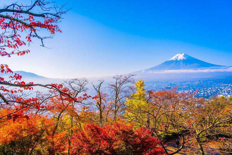 Tokyo: Mt Fuji&Chureito Pagoda&Lake Kawaguchi&Oshino Hakkai Free Karaage Chicken Set | 8AM Tokyo Station Departure