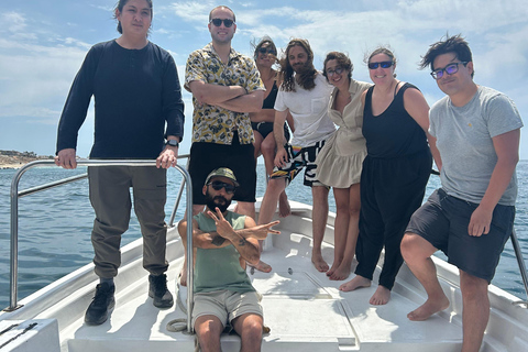 Ocean Safari in San Jose del Cabo