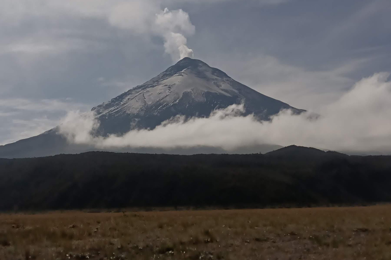 Randonnée et équitation au volcan Cotopaxi pour débutants