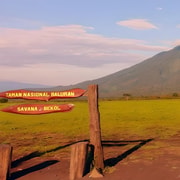 The Authentic Sunset Of Baluran National Park Banyuwangi