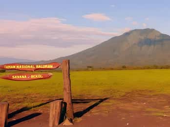 The Authentic Sunset Of Baluran National Park Banyuwangi