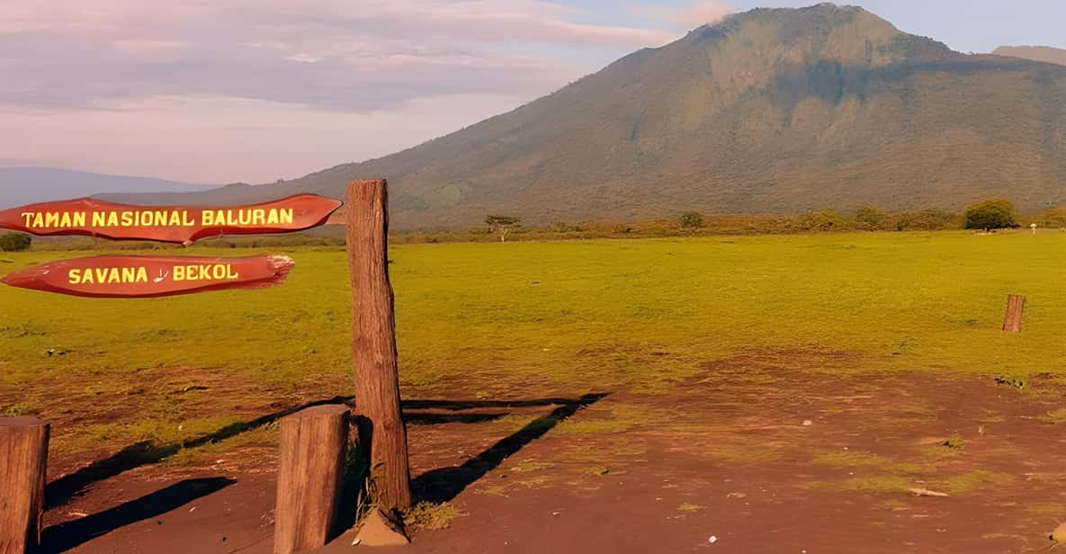 The Authentic Sunset Of Baluran National Park Banyuwangi | GetYourGuide