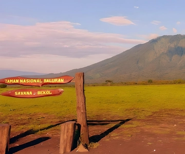 The Authentic Sunset Of Baluran National Park Banyuwangi