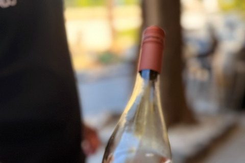 Colonia del Sacramento: Wine Tasting & Empanada Pairing