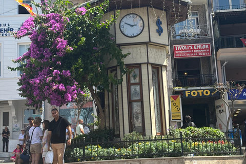 From Istanbul: Princess Islands Guided Tour