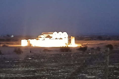 Amman: Desert Castles Shaumari Wildlife Private Day Trip