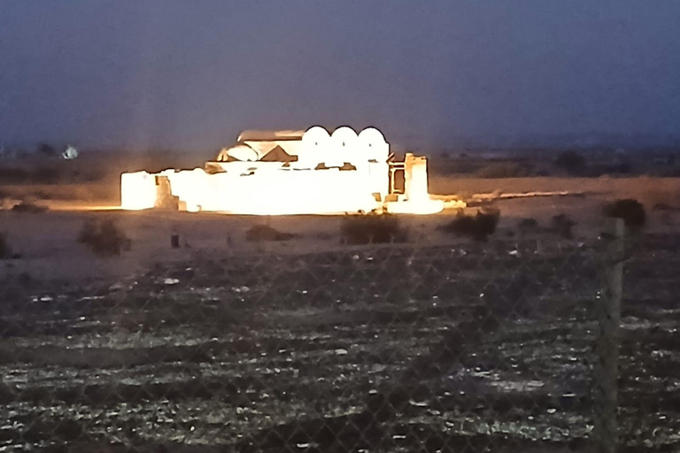 Amman: Desert Castles Shaumari Wildlife Private Day Trip