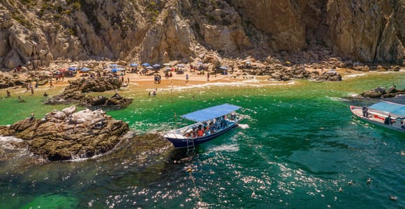Los Cabos: Snorkel and Marine Life