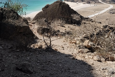 Salalah: City Highlights Guided Tour Alfizayah Salalah private tour Alfazayah Beach