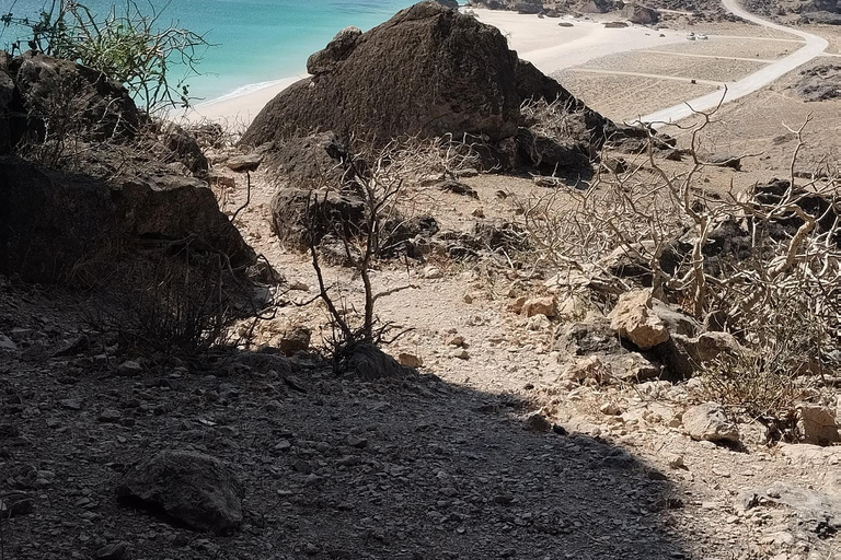 Salalah: City Highlights Guided Tour Alfizayah Salalah private tour Alfazayah Beach