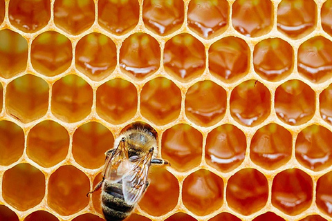 Authentic Crete: Minoan Farm, Winery, and Monastery Day Trip