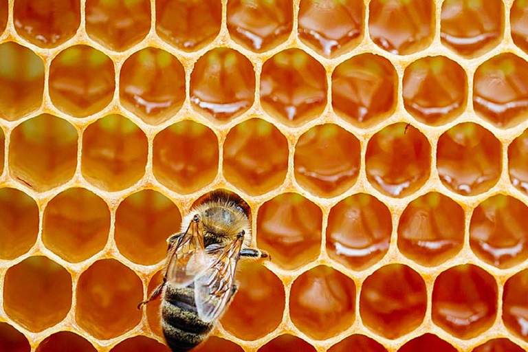 Authentic Crete: Minoan Farm, Winery, and Monastery Day Trip