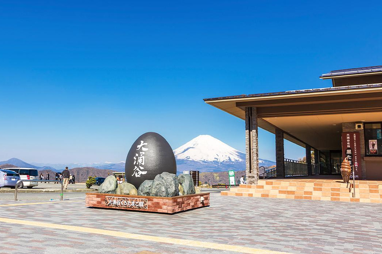 Tokyo Mt Fuji Hakone Private Tour with French Speaking Guide French-Speaking Guide Option-Toyota Alphard / HiAce