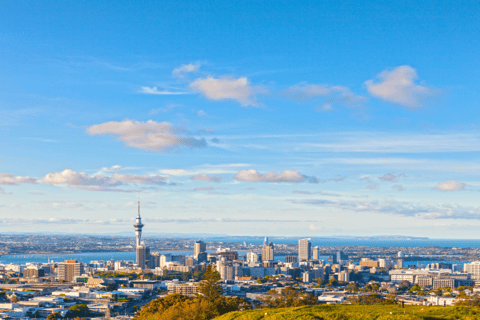 Auckland: Esquileo de ovejas y tour por lo más destacado de la ciudad con almuerzo