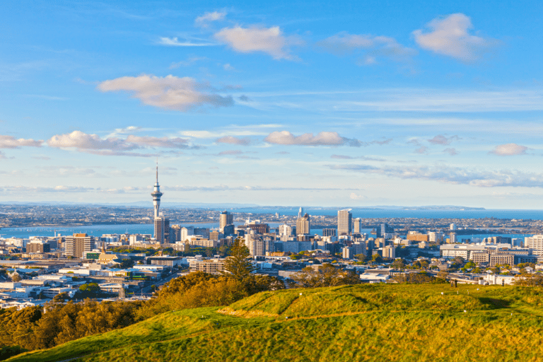 Auckland: Esquileo de ovejas y tour por lo más destacado de la ciudad con almuerzo