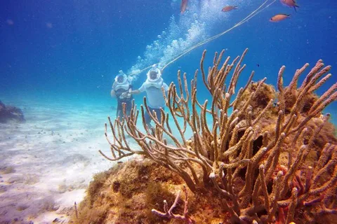 Cozumel : Aventure en mer dans le parc national de Chankanaab